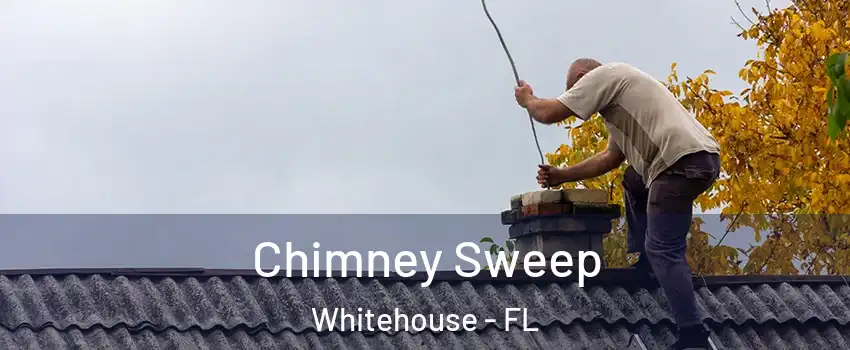 Chimney Sweep Whitehouse - FL