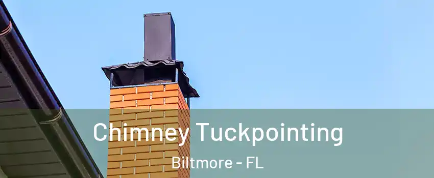 Chimney Tuckpointing Biltmore - FL