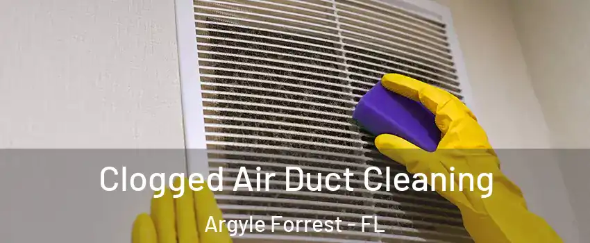 Clogged Air Duct Cleaning Argyle Forrest - FL