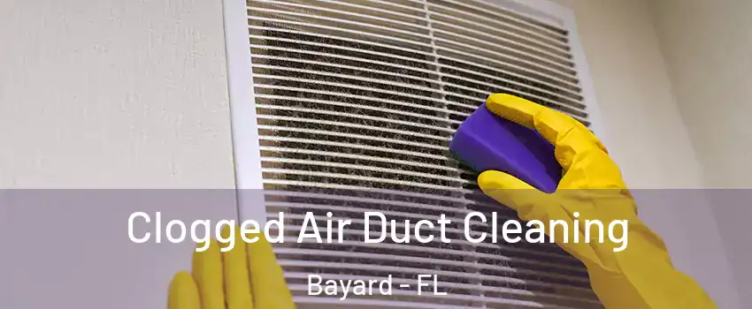 Clogged Air Duct Cleaning Bayard - FL