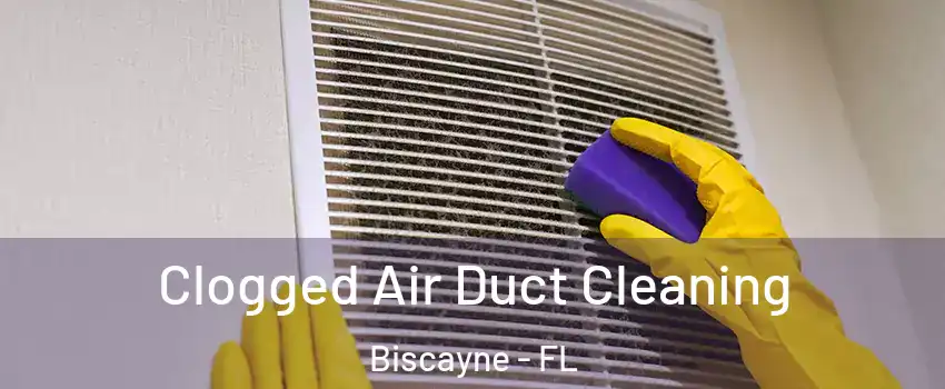 Clogged Air Duct Cleaning Biscayne - FL