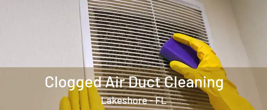 Clogged Air Duct Cleaning Lakeshore - FL