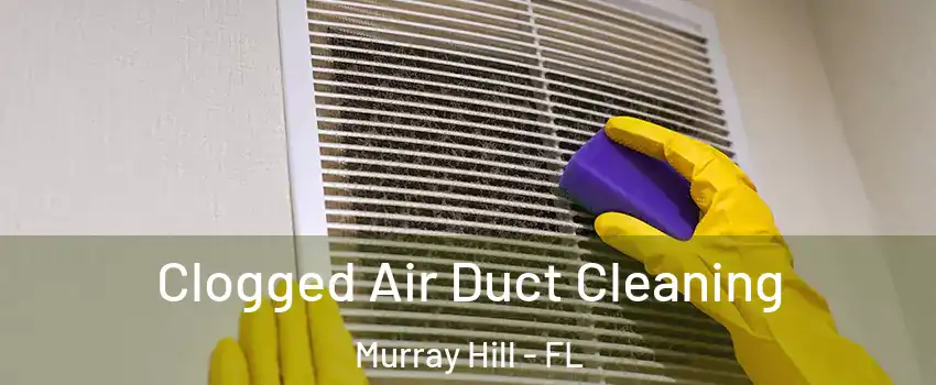 Clogged Air Duct Cleaning Murray Hill - FL