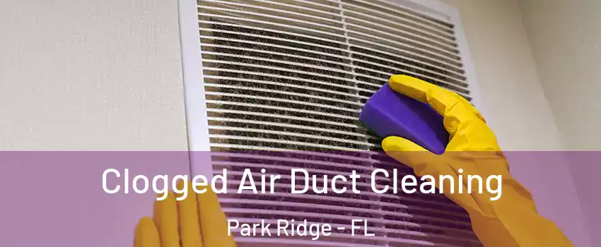 Clogged Air Duct Cleaning Park Ridge - FL