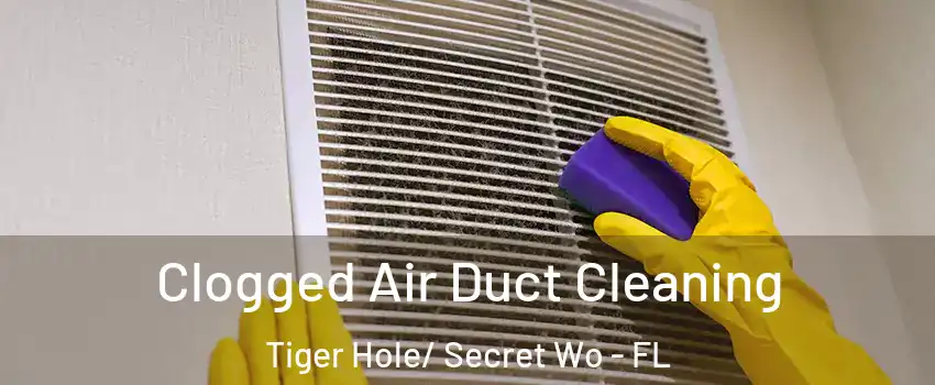 Clogged Air Duct Cleaning Tiger Hole/ Secret Wo - FL