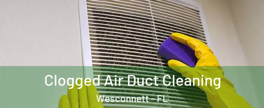 Clogged Air Duct Cleaning Wesconnett - FL