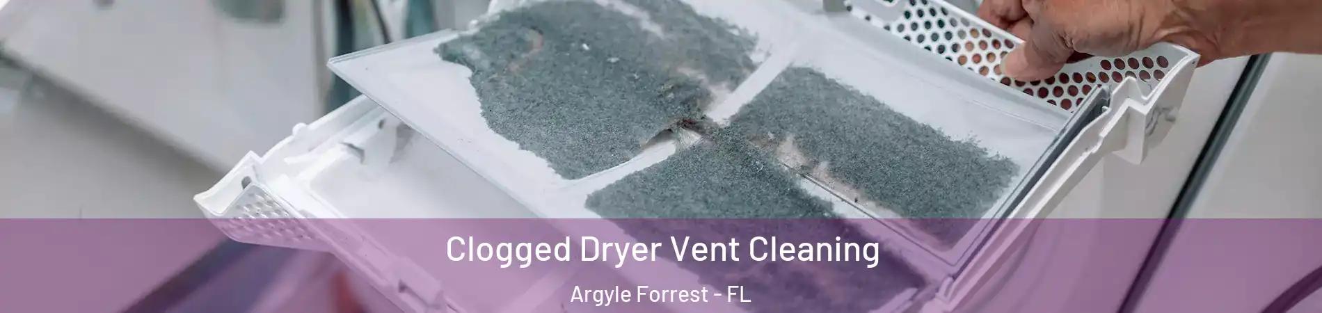 Clogged Dryer Vent Cleaning Argyle Forrest - FL