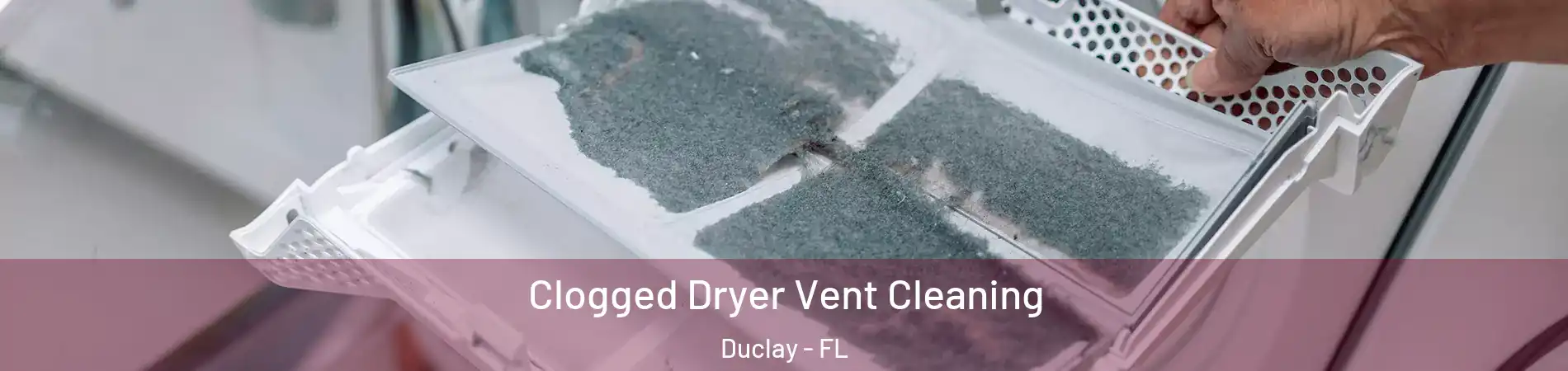 Clogged Dryer Vent Cleaning Duclay - FL