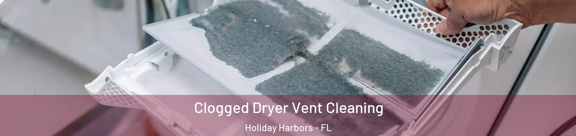 Clogged Dryer Vent Cleaning Holiday Harbors - FL