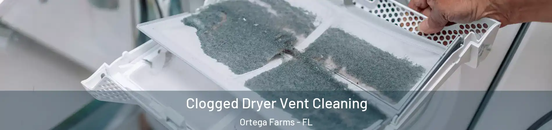 Clogged Dryer Vent Cleaning Ortega Farms - FL