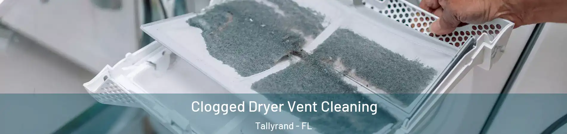 Clogged Dryer Vent Cleaning Tallyrand - FL