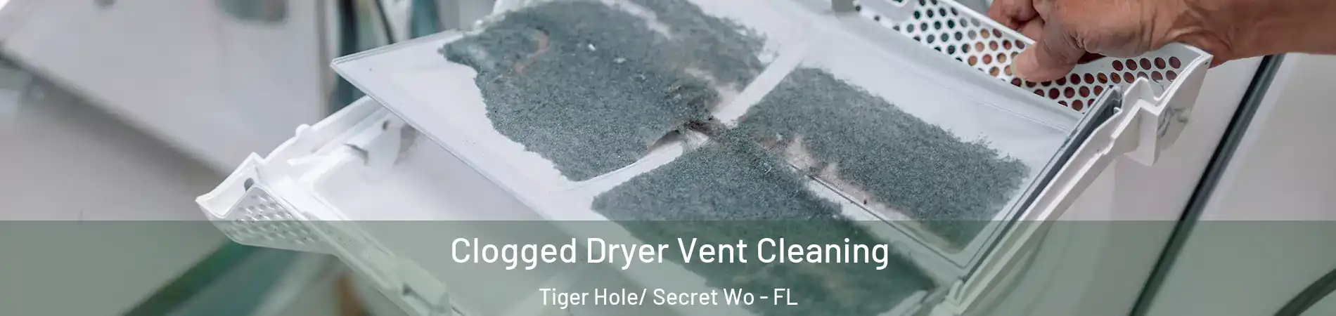 Clogged Dryer Vent Cleaning Tiger Hole/ Secret Wo - FL