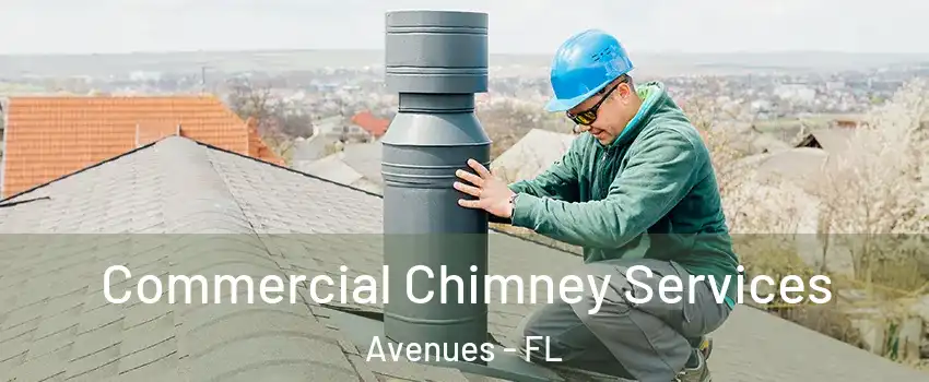 Commercial Chimney Services Avenues - FL