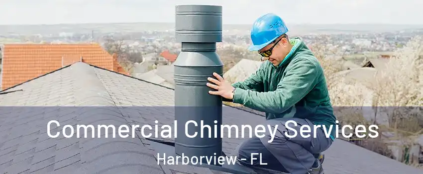 Commercial Chimney Services Harborview - FL