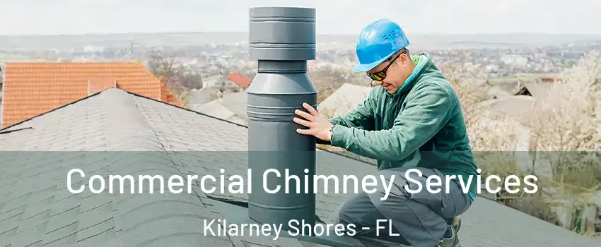Commercial Chimney Services Kilarney Shores - FL