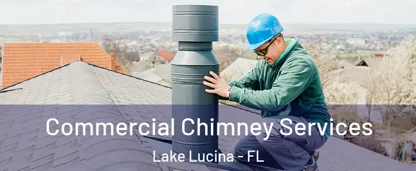 Commercial Chimney Services Lake Lucina - FL