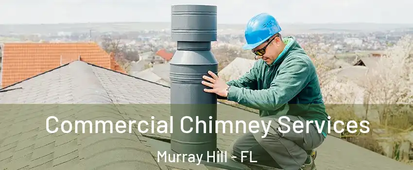 Commercial Chimney Services Murray Hill - FL