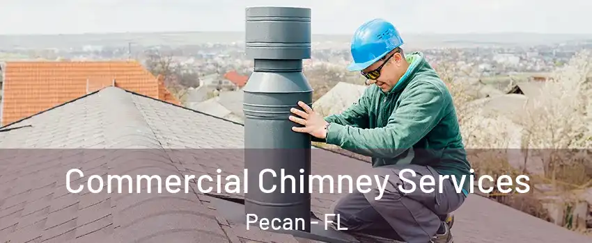 Commercial Chimney Services Pecan - FL