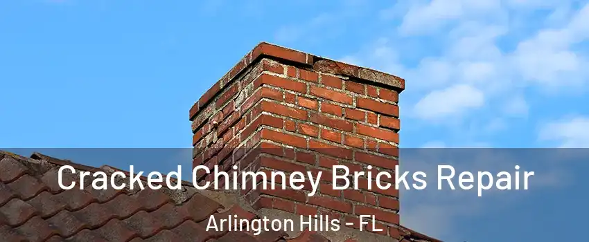 Cracked Chimney Bricks Repair Arlington Hills - FL