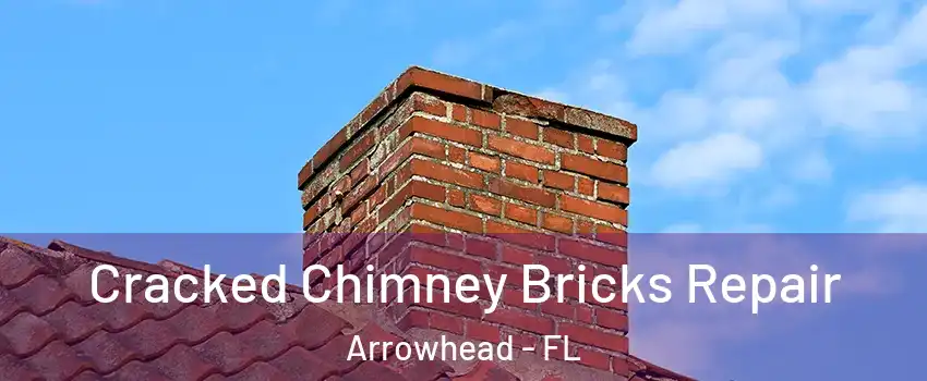 Cracked Chimney Bricks Repair Arrowhead - FL