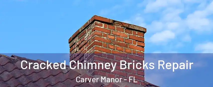 Cracked Chimney Bricks Repair Carver Manor - FL