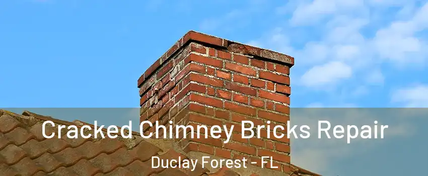 Cracked Chimney Bricks Repair Duclay Forest - FL