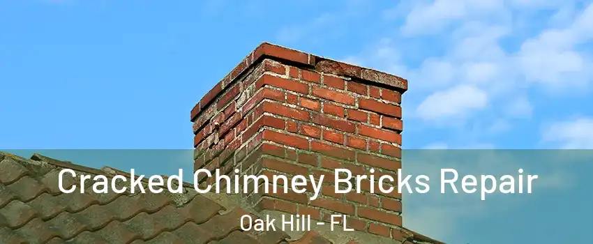 Cracked Chimney Bricks Repair Oak Hill - FL