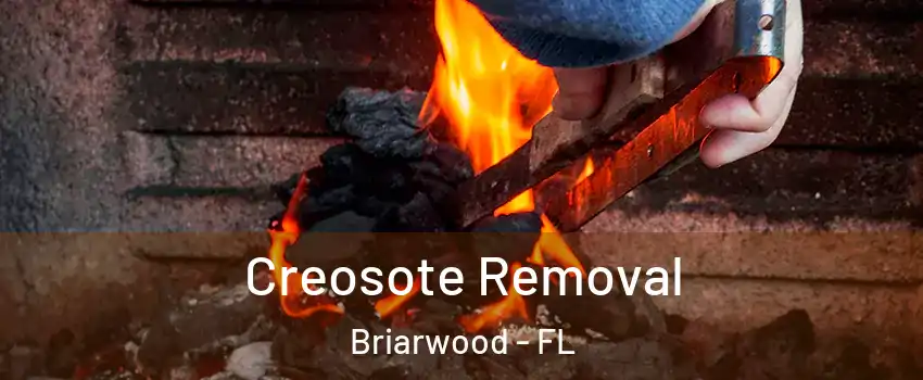 Creosote Removal Briarwood - FL