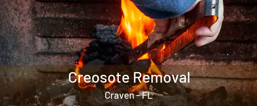 Creosote Removal Craven - FL