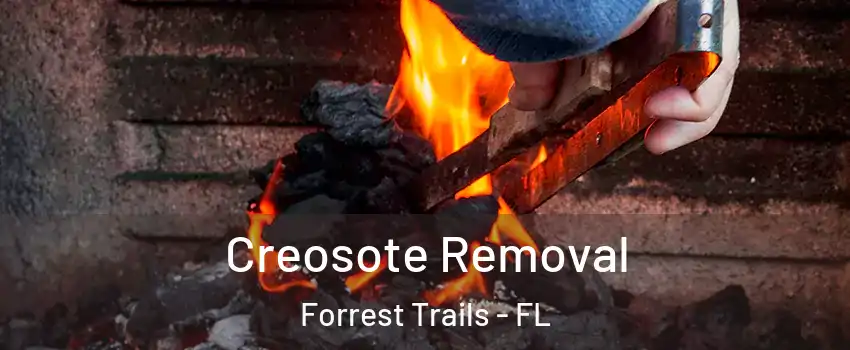 Creosote Removal Forrest Trails - FL