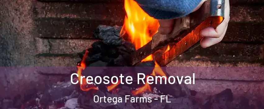 Creosote Removal Ortega Farms - FL