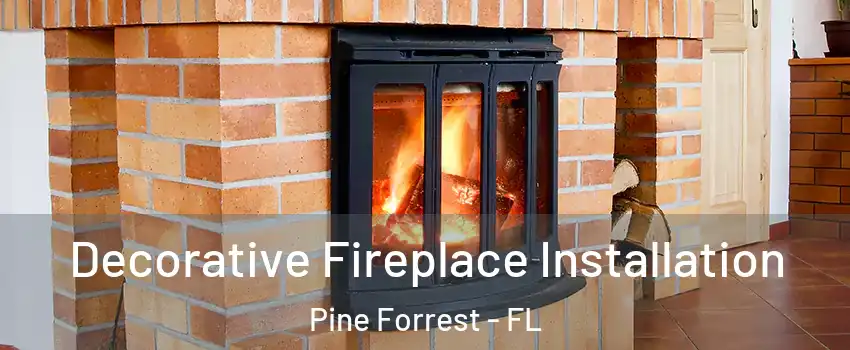 Decorative Fireplace Installation Pine Forrest - FL