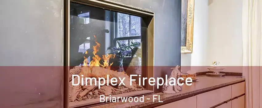 Dimplex Fireplace Briarwood - FL