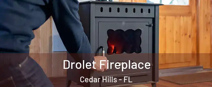 Drolet Fireplace Cedar Hills - FL