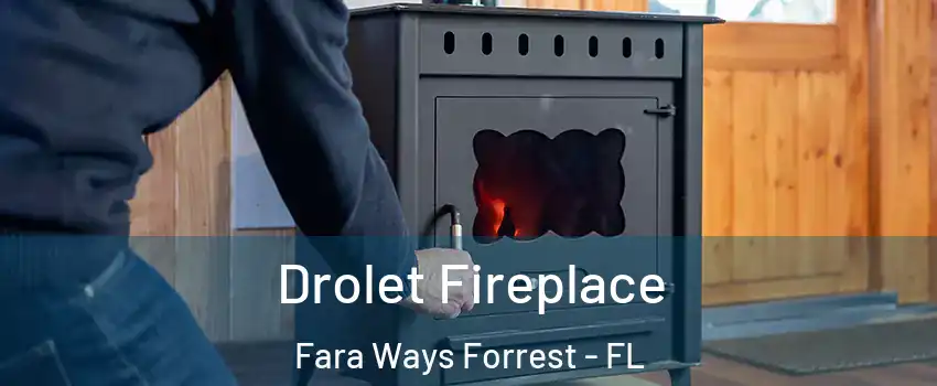 Drolet Fireplace Fara Ways Forrest - FL