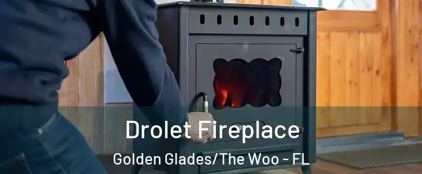 Drolet Fireplace Golden Glades/The Woo - FL
