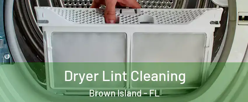 Dryer Lint Cleaning Brown Island - FL