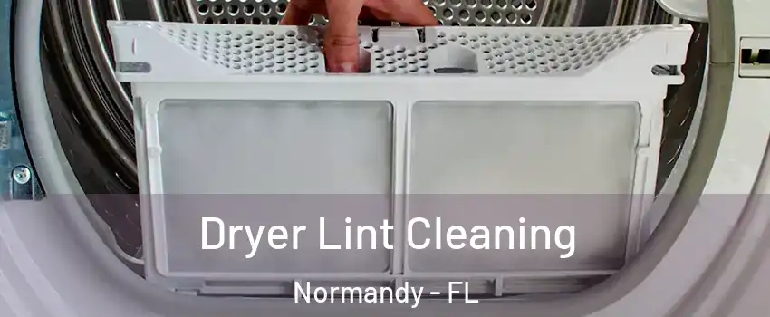 Dryer Lint Cleaning Normandy - FL