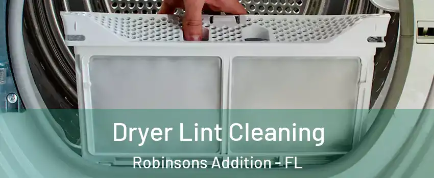 Dryer Lint Cleaning Robinsons Addition - FL