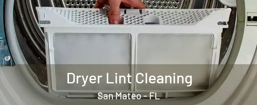 Dryer Lint Cleaning San Mateo - FL