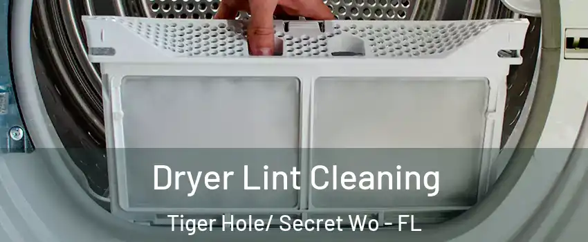 Dryer Lint Cleaning Tiger Hole/ Secret Wo - FL