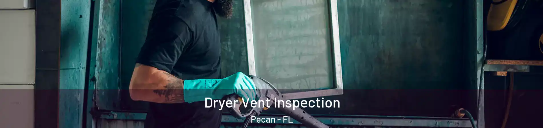 Dryer Vent Inspection Pecan - FL