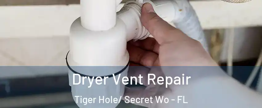 Dryer Vent Repair Tiger Hole/ Secret Wo - FL