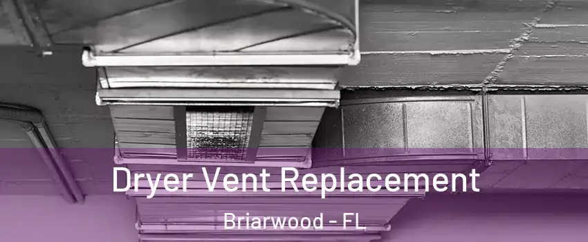 Dryer Vent Replacement Briarwood - FL