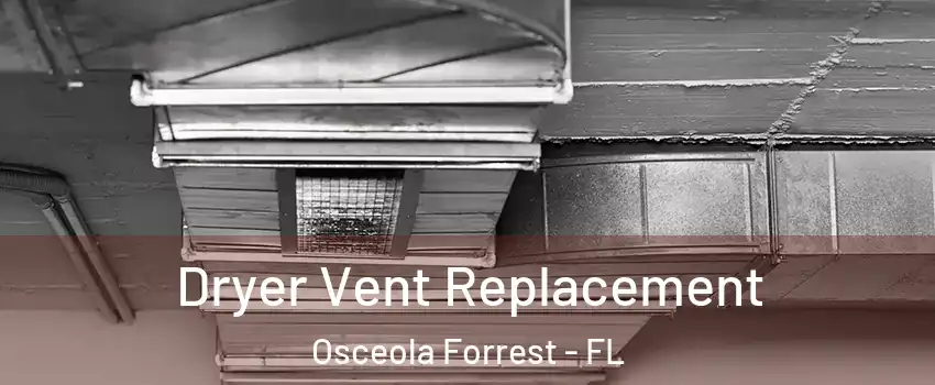 Dryer Vent Replacement Osceola Forrest - FL