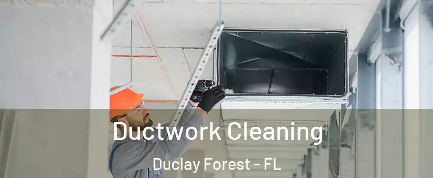 Ductwork Cleaning Duclay Forest - FL