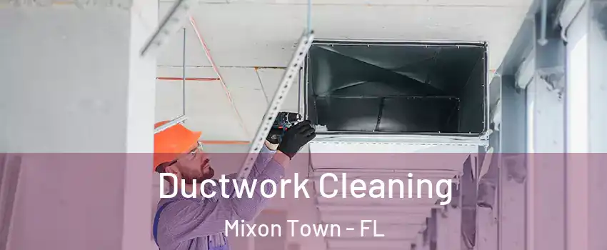 Ductwork Cleaning Mixon Town - FL