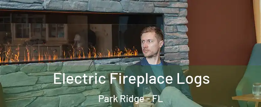 Electric Fireplace Logs Park Ridge - FL