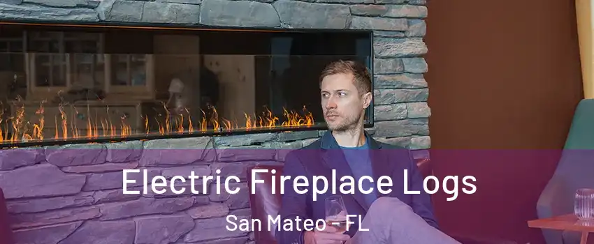 Electric Fireplace Logs San Mateo - FL