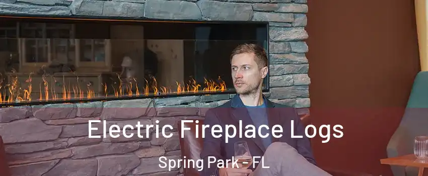 Electric Fireplace Logs Spring Park - FL